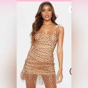 Mesh polka dot dress